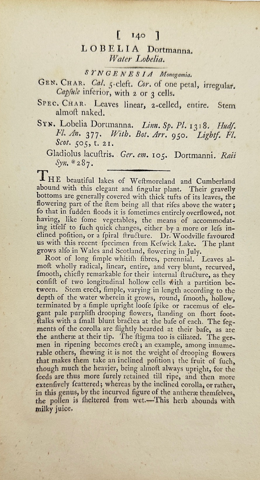 Antique Botanical Print - James Sowerby - Lobelia Dortmanna - Water Lobelia - F1