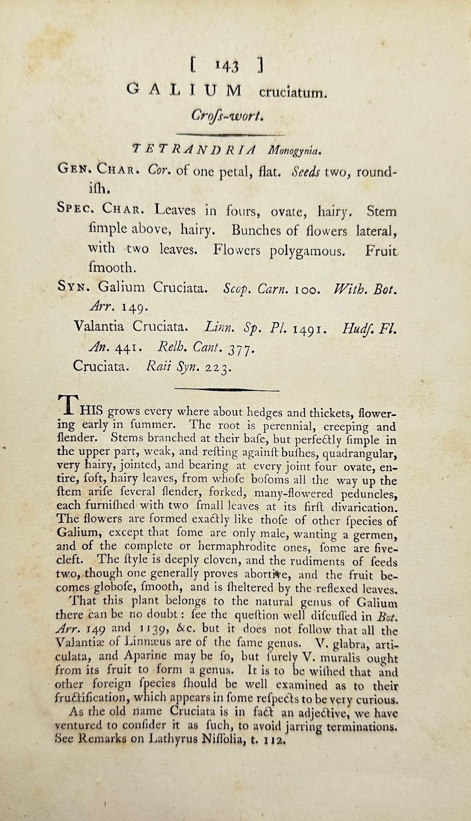 Antique Botanical Print - James Sowerby - Galium Cruciatum - Crosswort - F1