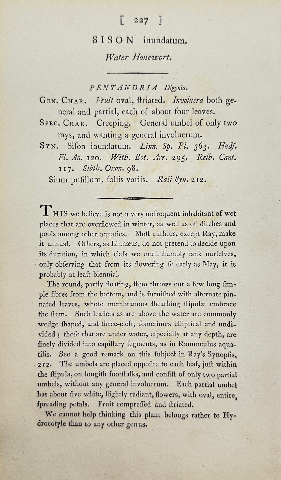 Antique Botanical Print - James Sowerby - Sison Inundatum - Water Stonewort - F1