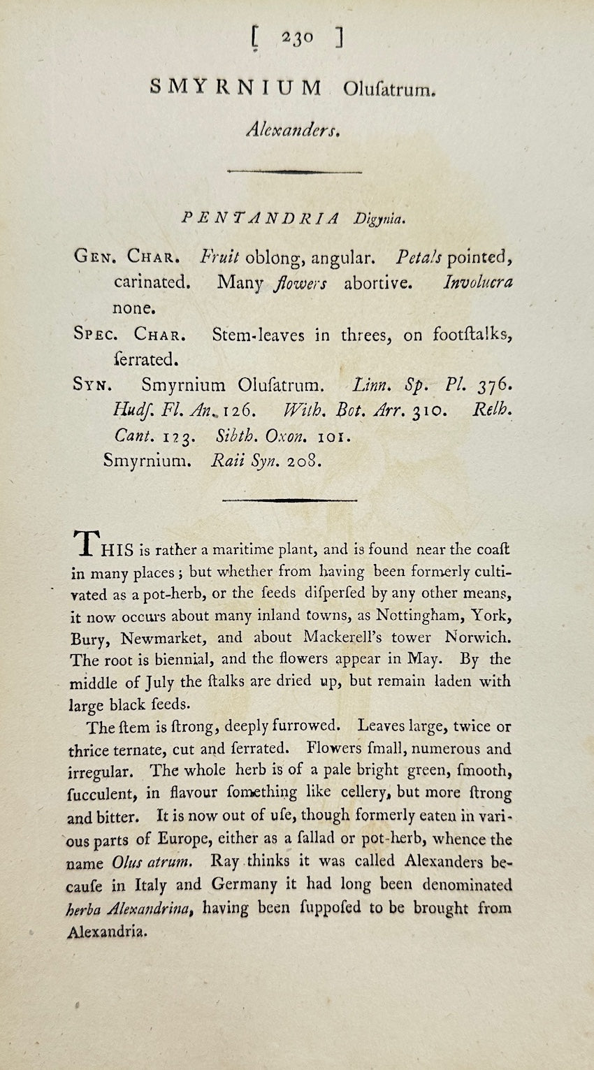 Antique Botanical Print - James Sowerby - Smyrnium Olusatrum - Alexanders - F1