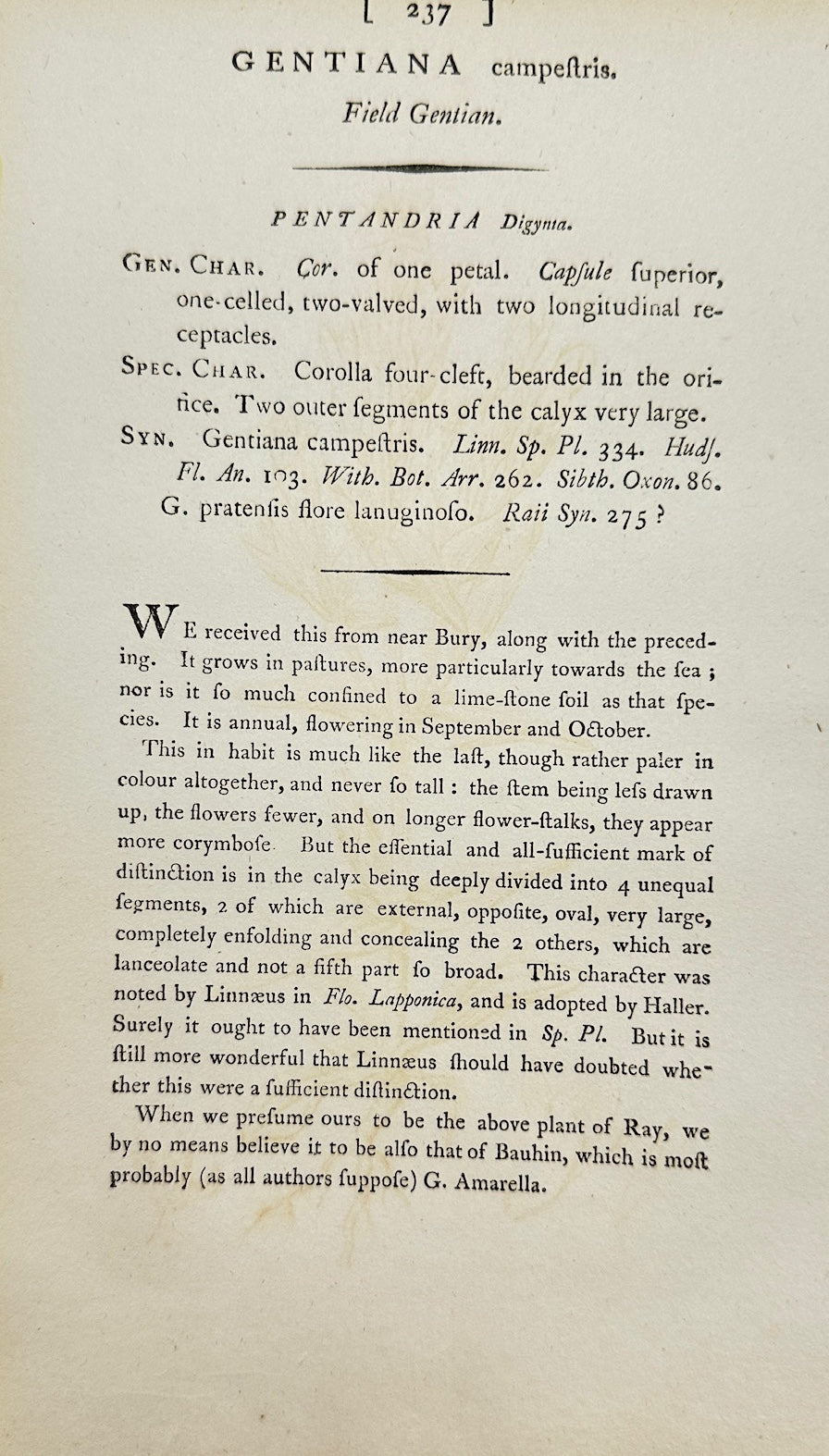 Antique Print - James Sowerby - Gentiana Campestris - Field Gentian - F1