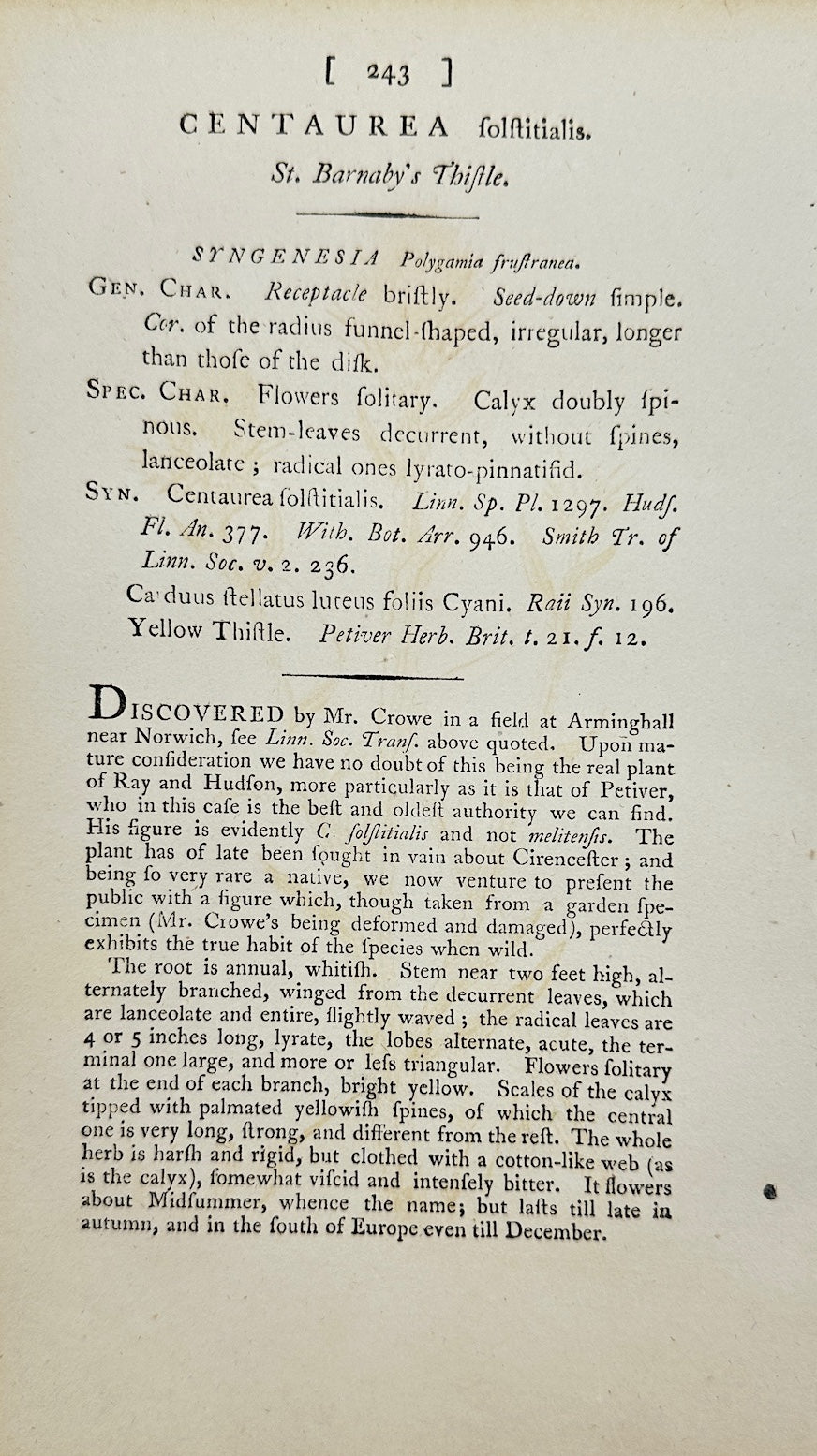 Antique Print - James Sowerby - Centaurium Erythraea - Common Centaury - F1