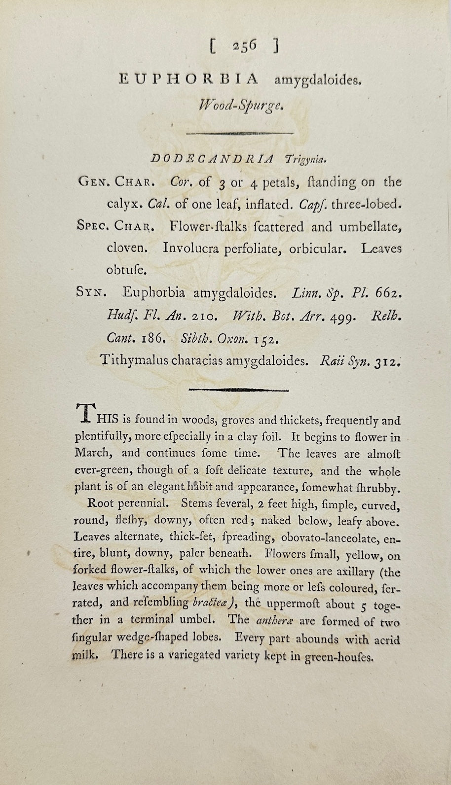Antique Print - James Sowerby - Euphorbia Amygdaloides - Sood Spurge - F1