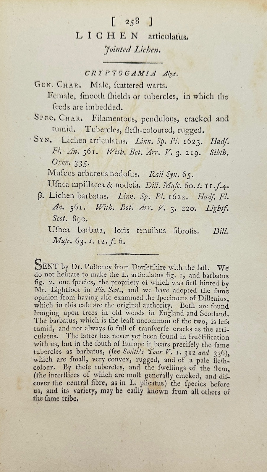 Antique Print - James Sowerby - Lichen Articulatus - Jointed Lichen - F1