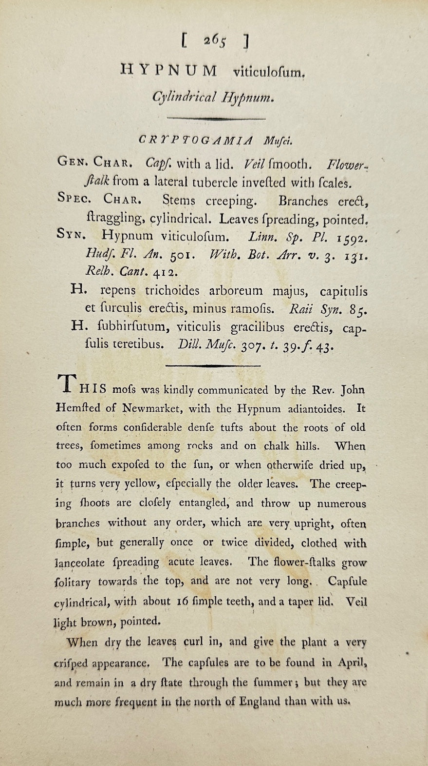 Antique Print - James Sowerby - Hypnum Viticulofum - Grapevine Hypnum Moss - F1