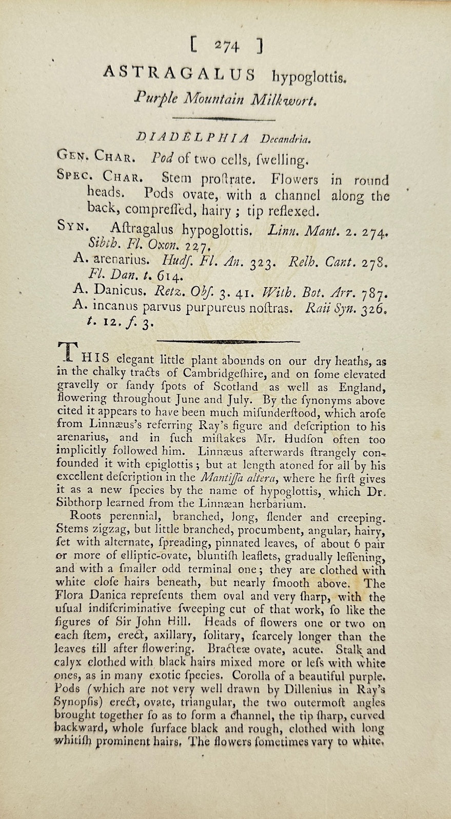 Antique Print - James Sowerby - Astragalus Hypoglottis - Yellow Milkvetch - F1