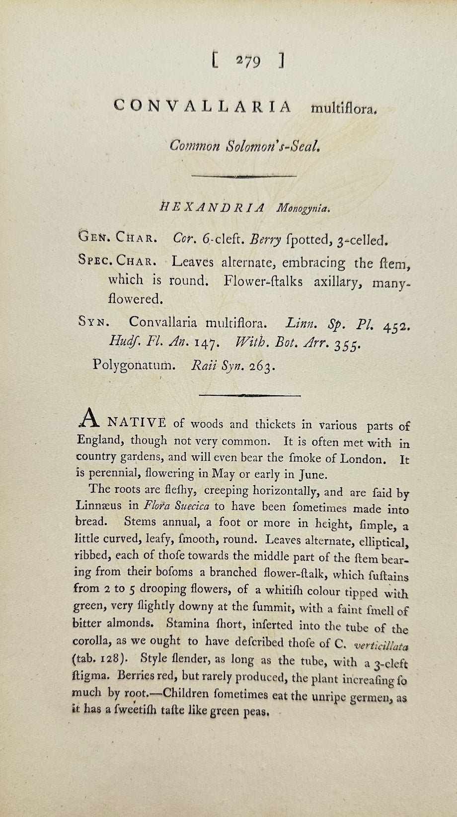 Antique Print - Convallaria Multiflora - Many-flowered Lily-of-the-valley  - F1