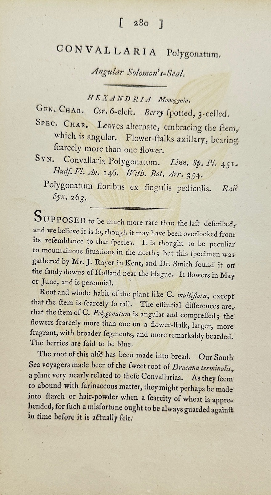 Antique Print - James Sowerby - Convallaria Polygonatum - Solomon's Seal - F1