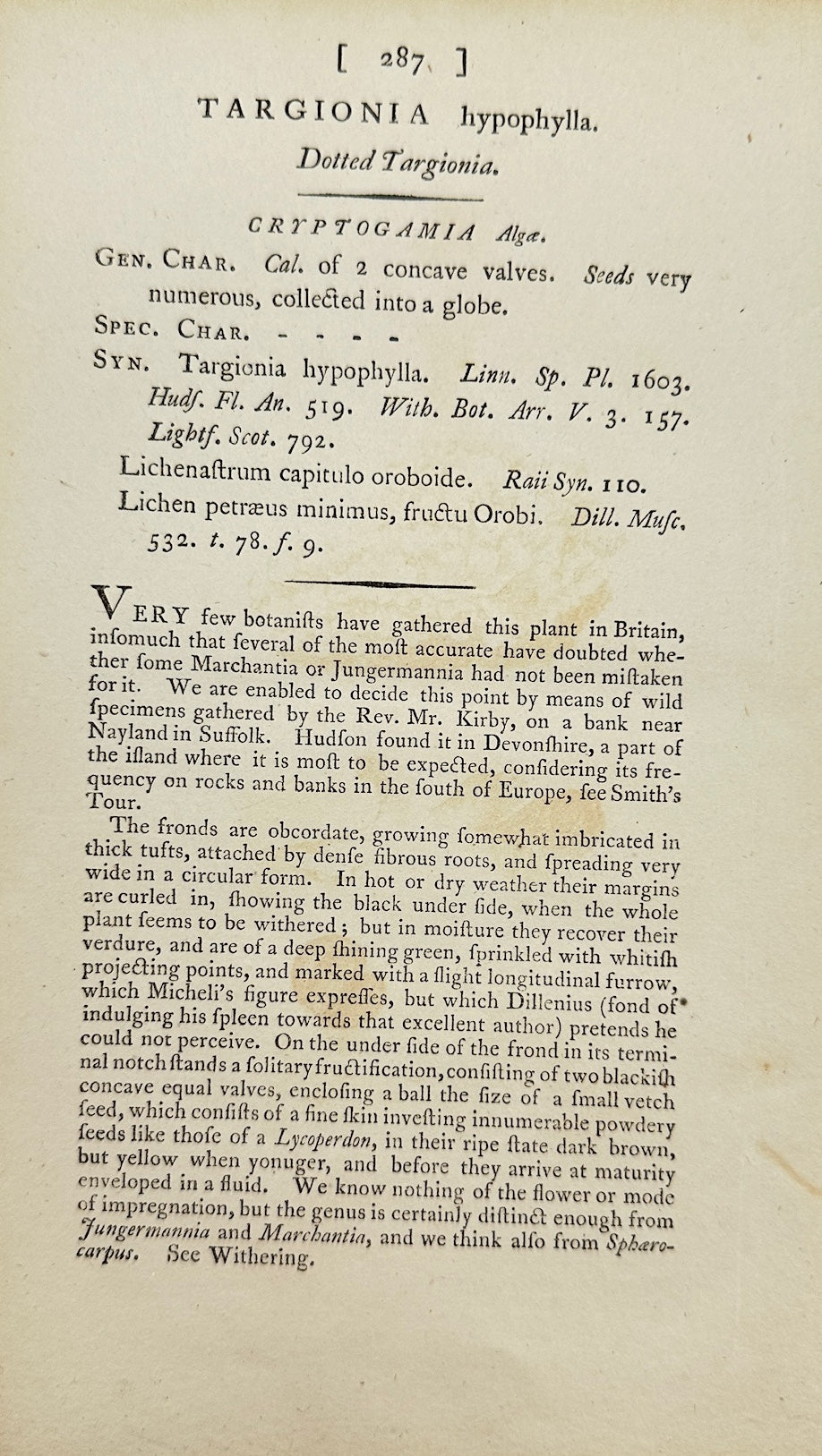 Antique Print - James Sowerby - Targionia Hypophylla - Fan Liverwort - F1