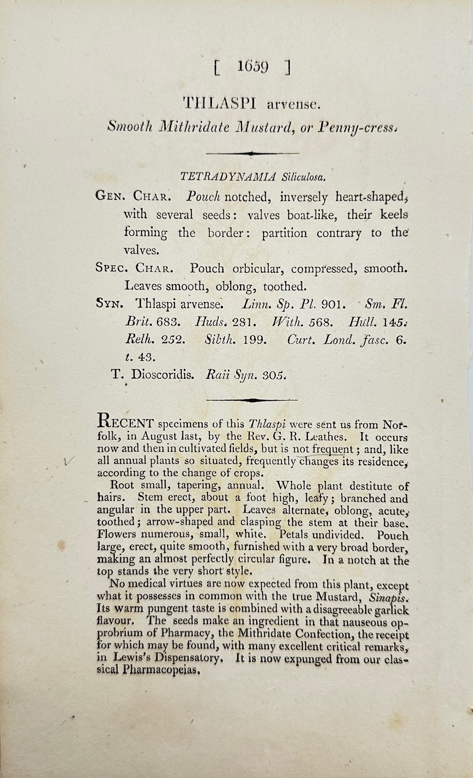 Antique Print - James Sowerby - Thlaspi Arvense - Field Pennycress - F1