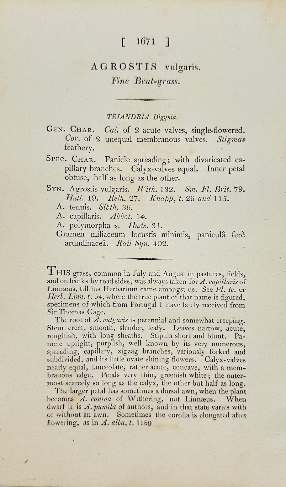 Antique Print - James Sowerby - Agrostis Vulgaris - Common Bentgrass - F1