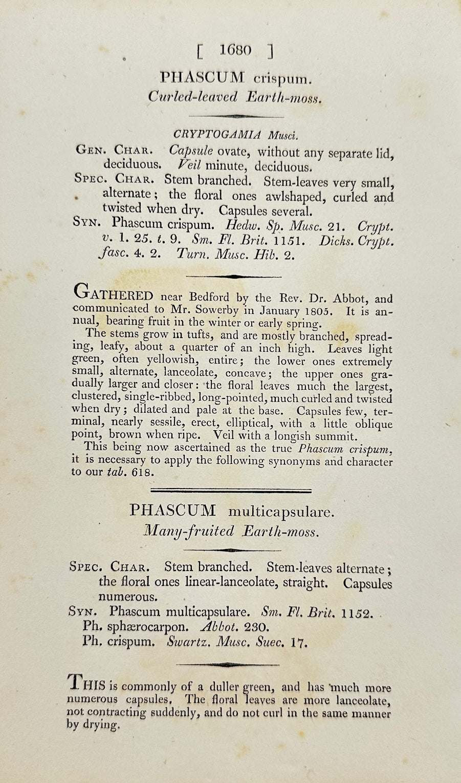 Antique Print - James Sowerby - Phascum Crispum - Curled Thread-moss - F1