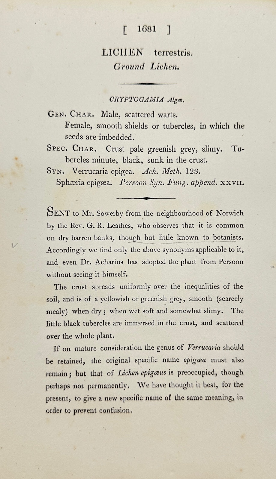 Antique Print - James Sowerby - Lichen Terrestris - Terrestrial Lichen - F1