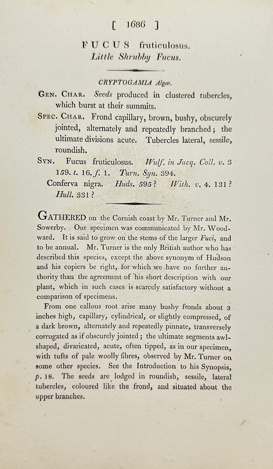 Antique Print - James Sowerby - Fucus Fruticulosus - Bushy Seaweed - F1