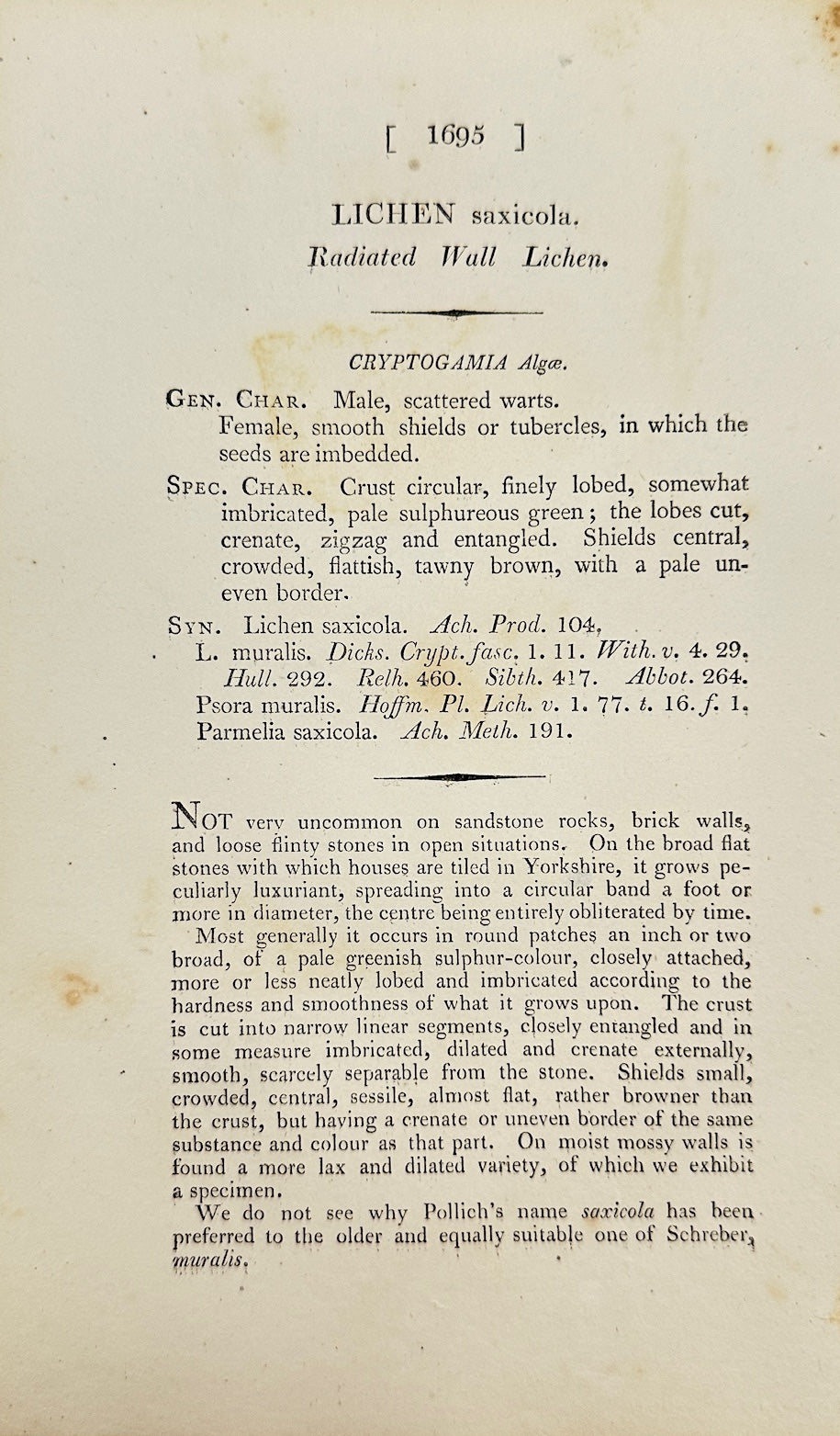 Antique Botanical Print - James Sowerby - Lichen Saxicola - Rock Lichen - F1