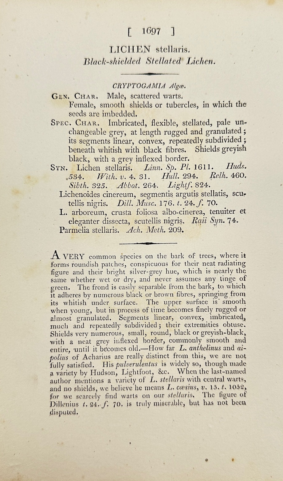 Antique Botanical Print - James Sowerby - Lichen Stellaris - Star Lichen - F1