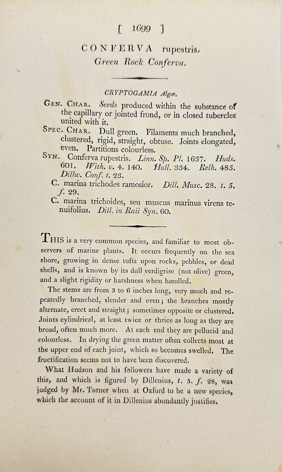 Antique Print - James Sowerby - Conferva Rupestris - Conferva Rupestris - F1