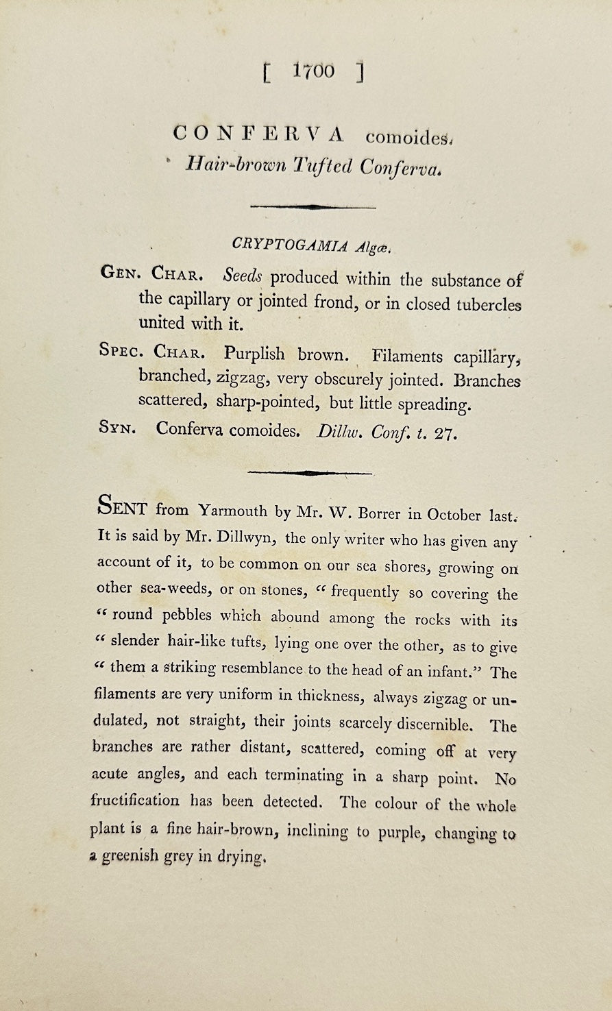 Antique Print - James Sowerby - Conferva Comoides - Mossy Conferva - F1