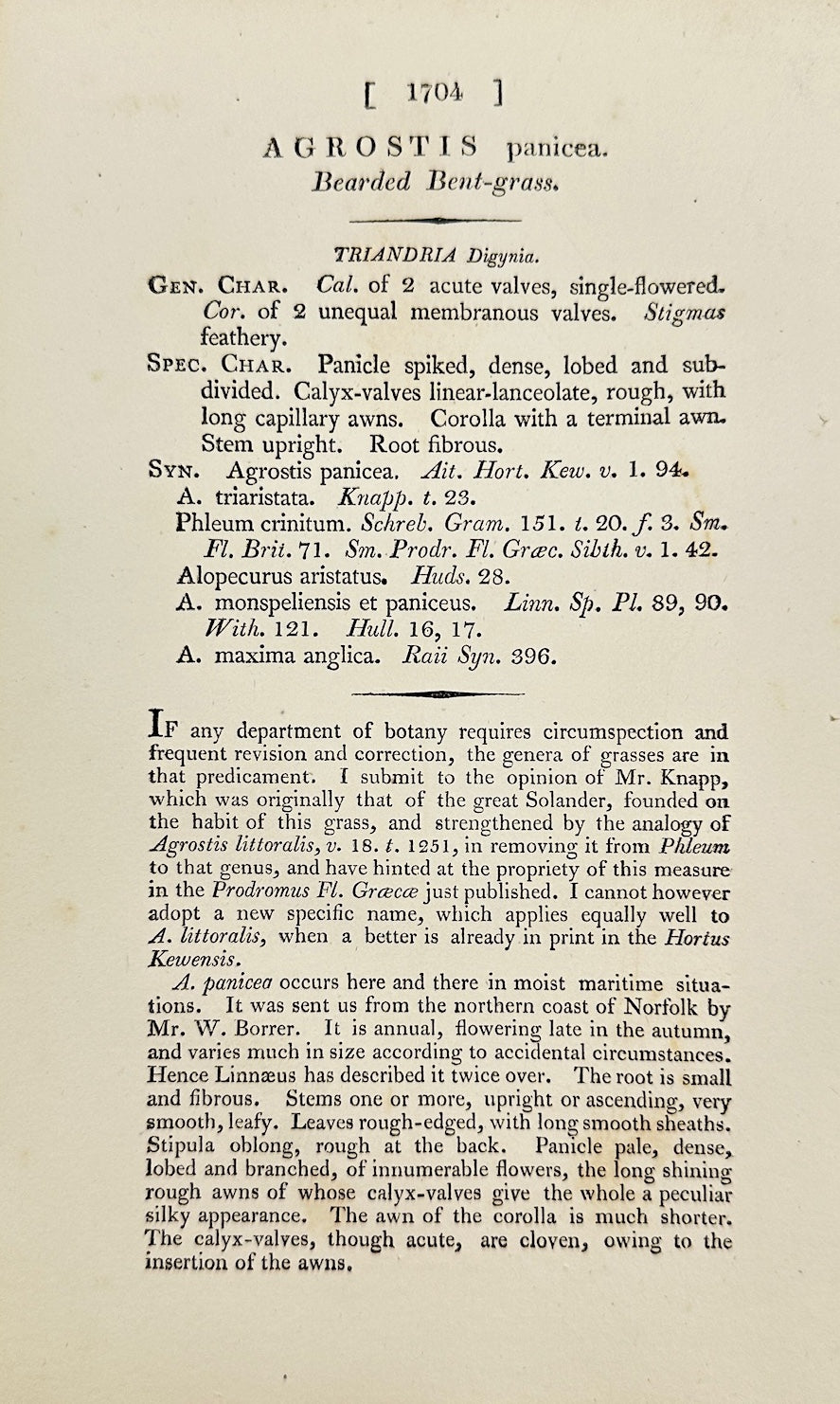 Antique Botanical Print - Sowerby - Agrostis Panicea - Panicled Agrostis - F1