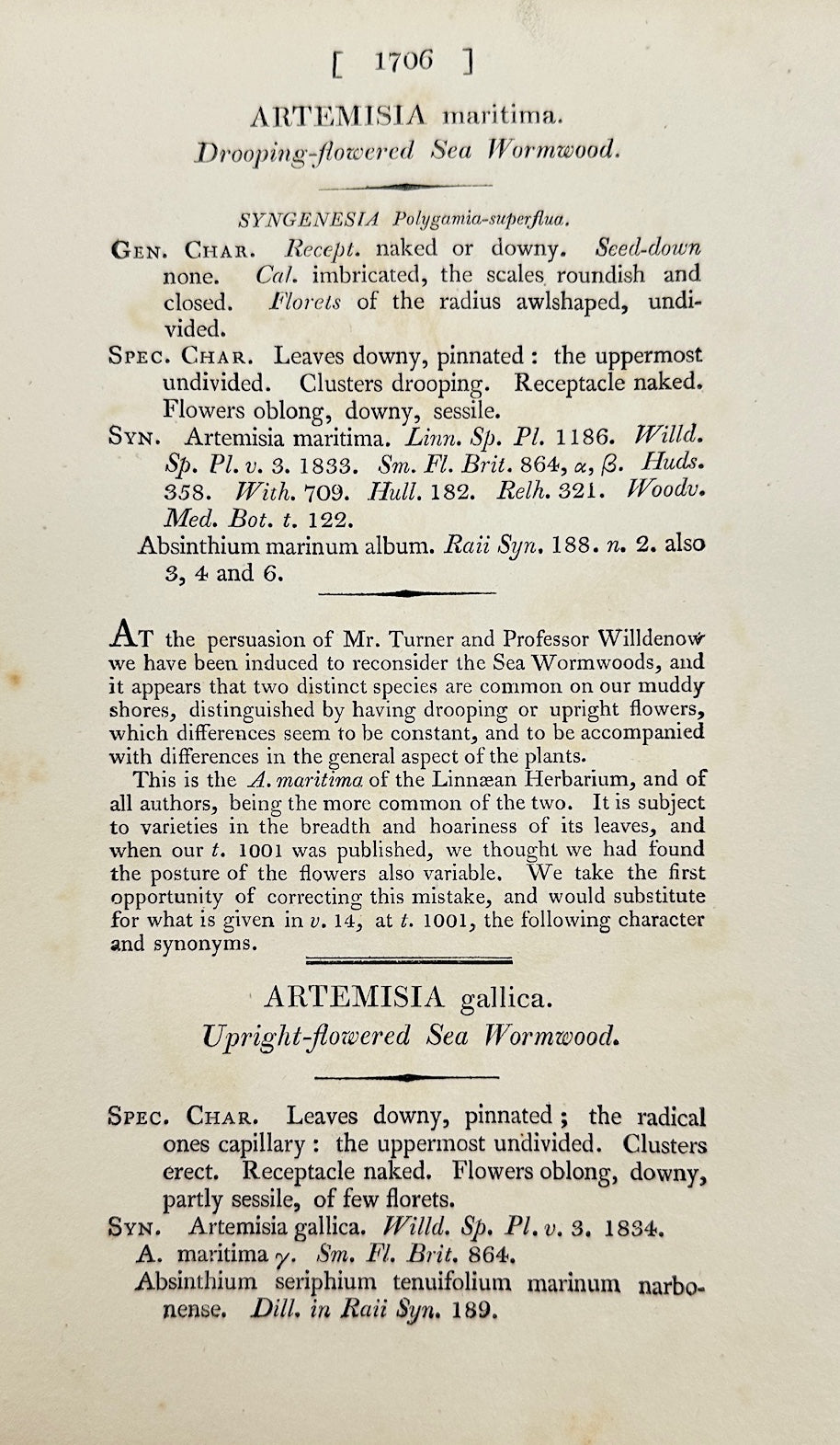 Antique Botanical Print - Sowerby - Artemisia Maritima - Sea Wormwood - F1