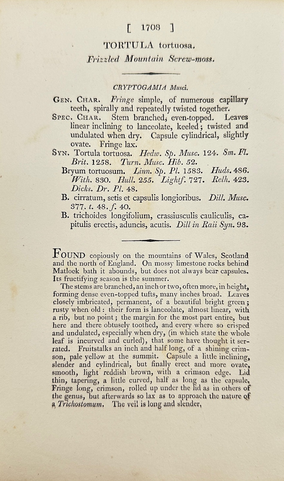 Antique Print - James Sowerby - Tortula Tortuosa - Twisted Tortula - F1