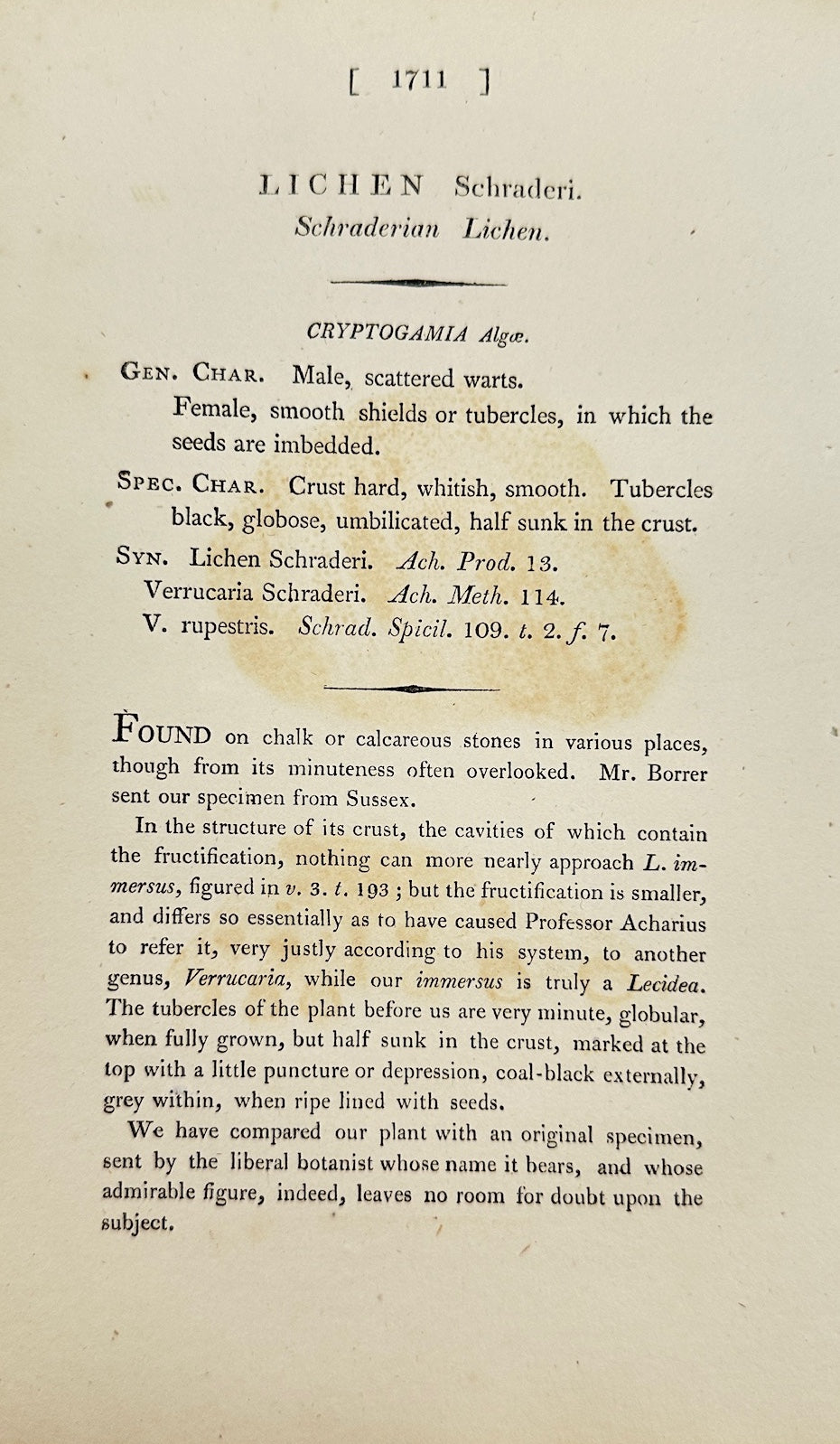 Antique Print - James Sowerby - Lichen Schraderi - Schraderian Lichen - F1