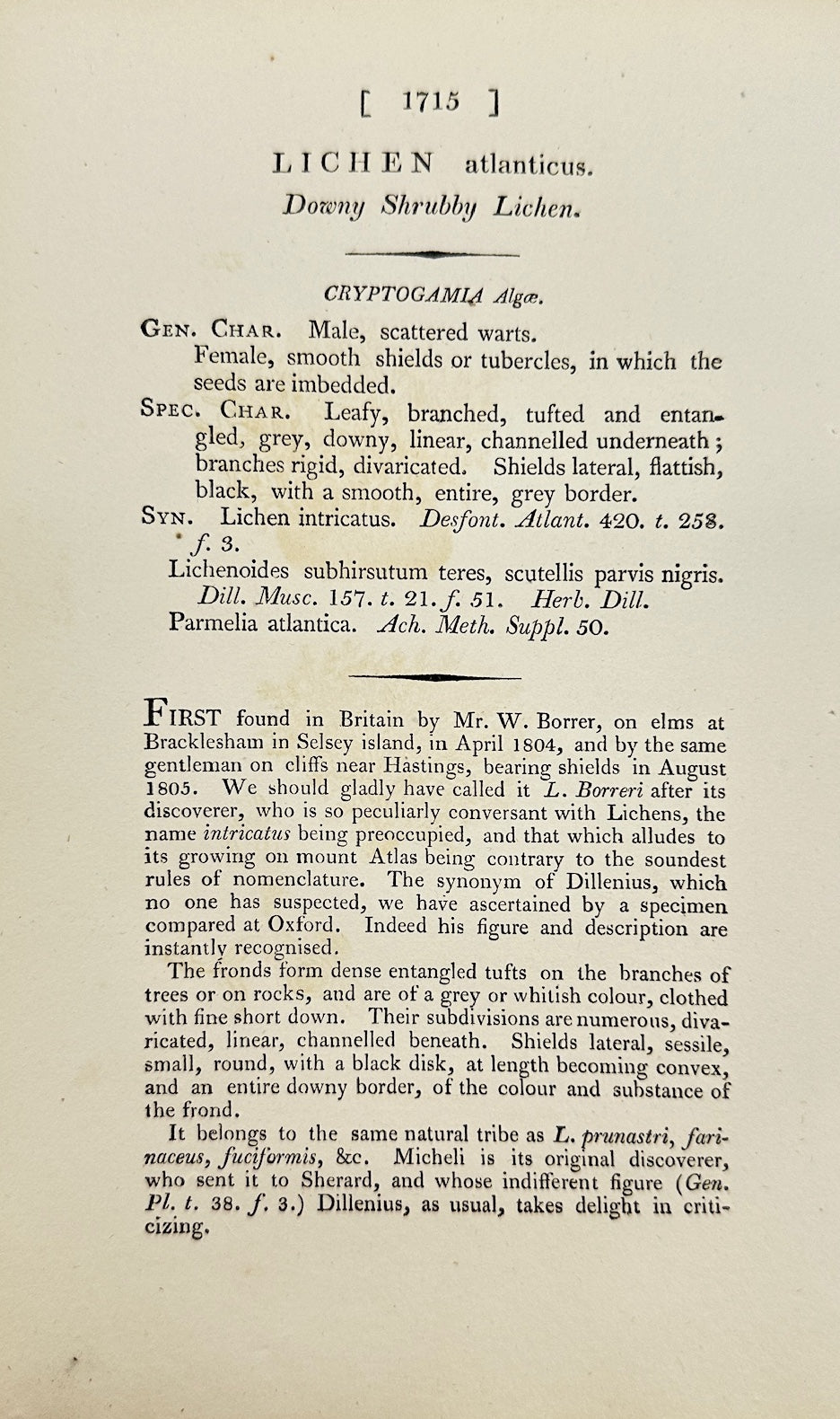 Antique Print - James Sowerby - Lichen Atlanticus - Atlantic Lichen - F1
