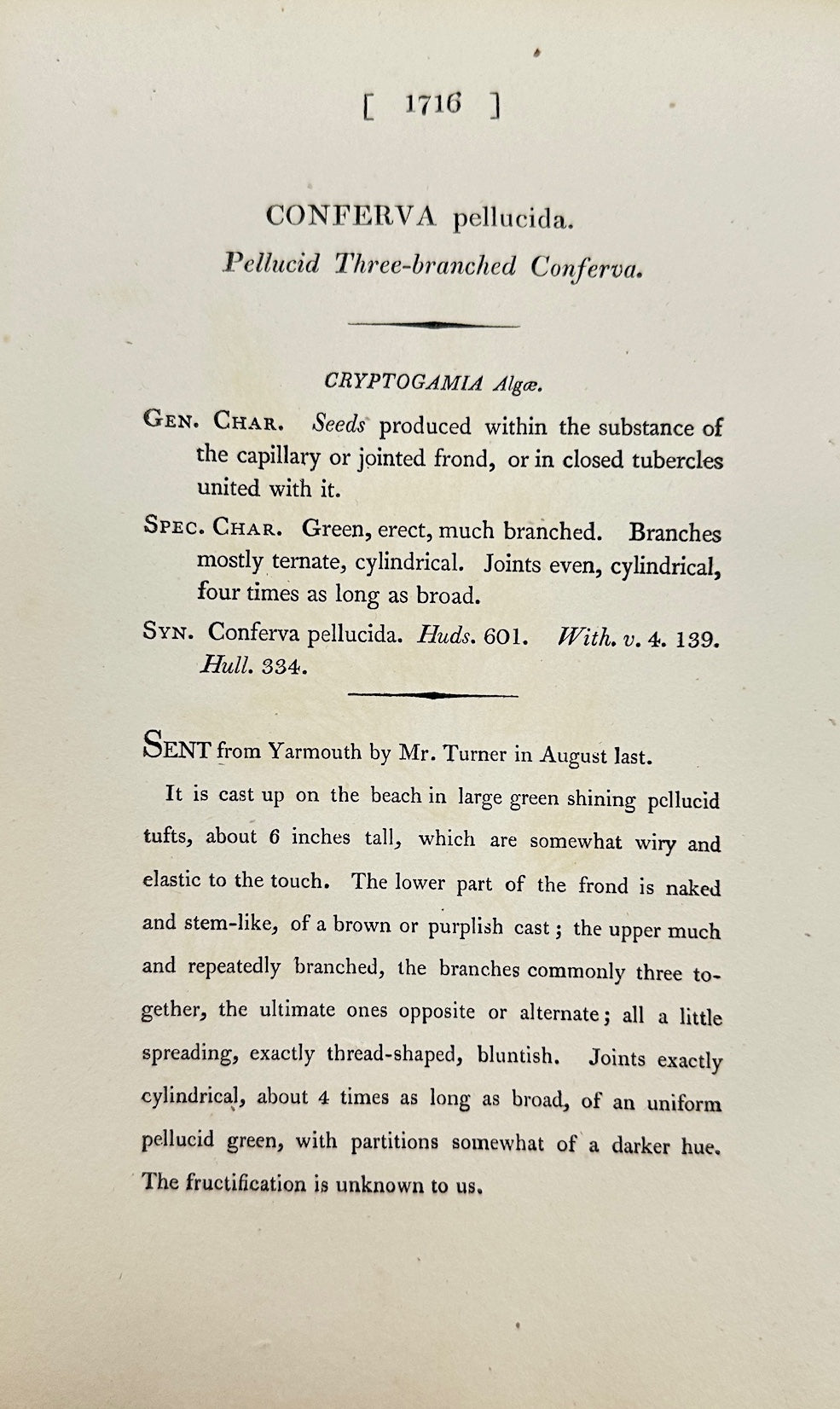 Antique Print - James Sowerby - Conferva Pellucida - Pellucid Сonferva - F1