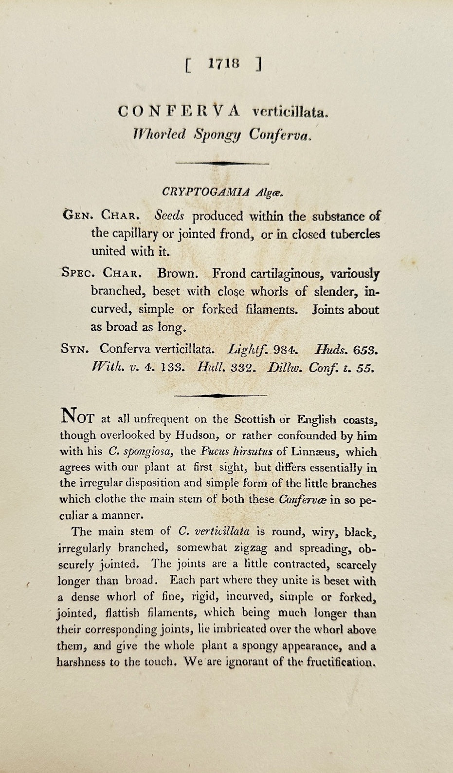 Antique Print - James Sowerby - Conferva Verticillata - Whorled Conferva - F1