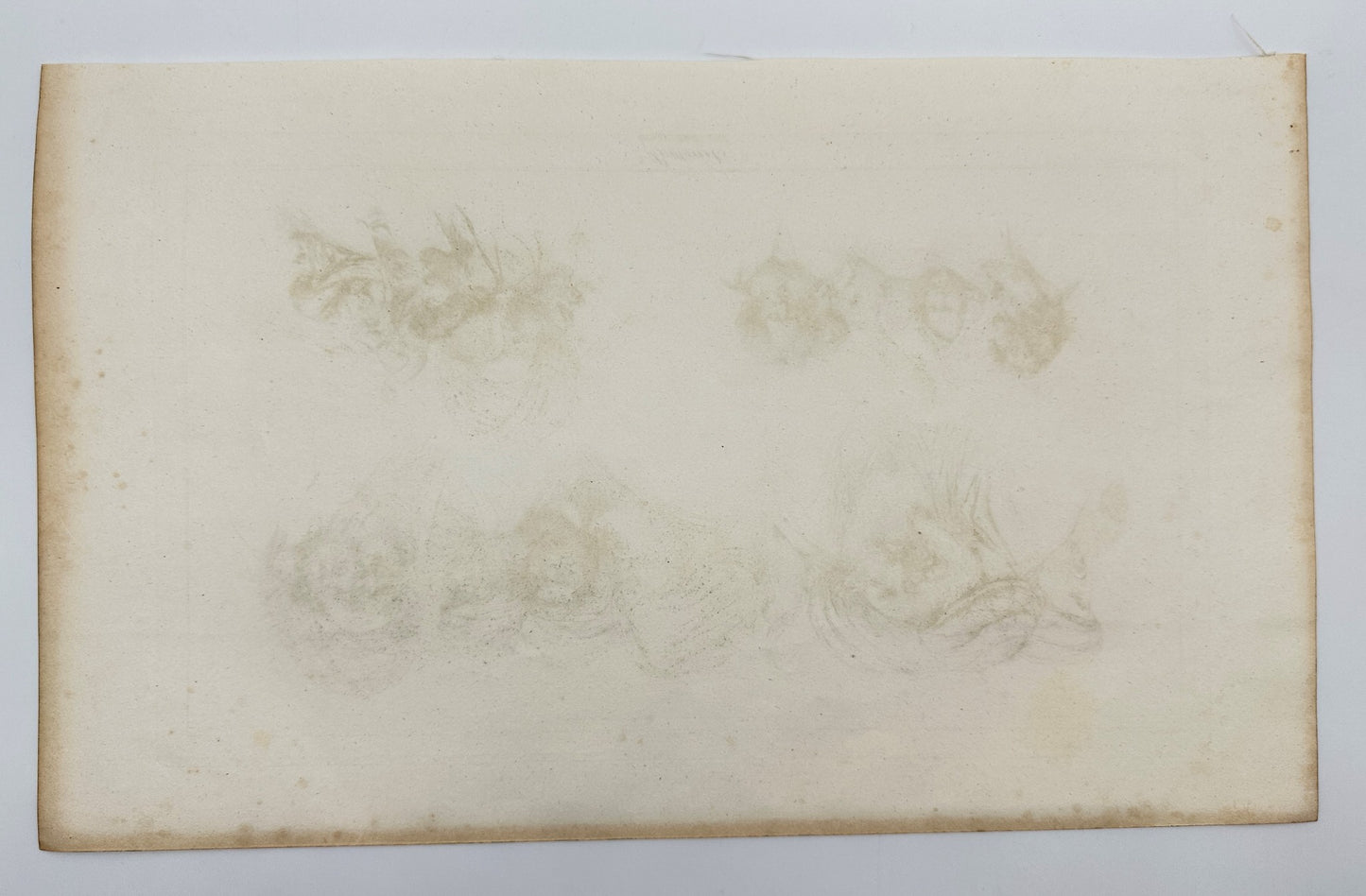 Antique Engraving - Dominique Vivant Denon - Portraits of Four Arabs - F3