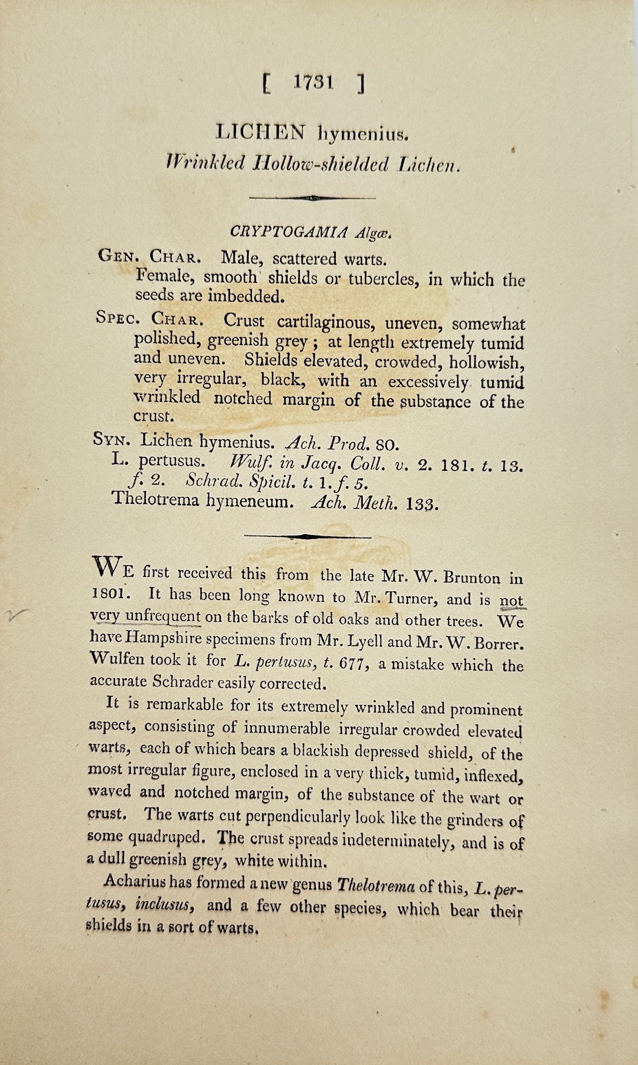Antique Botanical Print - James Sowerby - Lichen Hymenius - Lichen Hymenius - F1