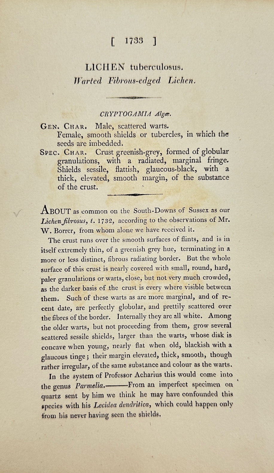 Antique Print - James Sowerby - Lichen Tuberculosus - Tuberculous Lichen - F1
