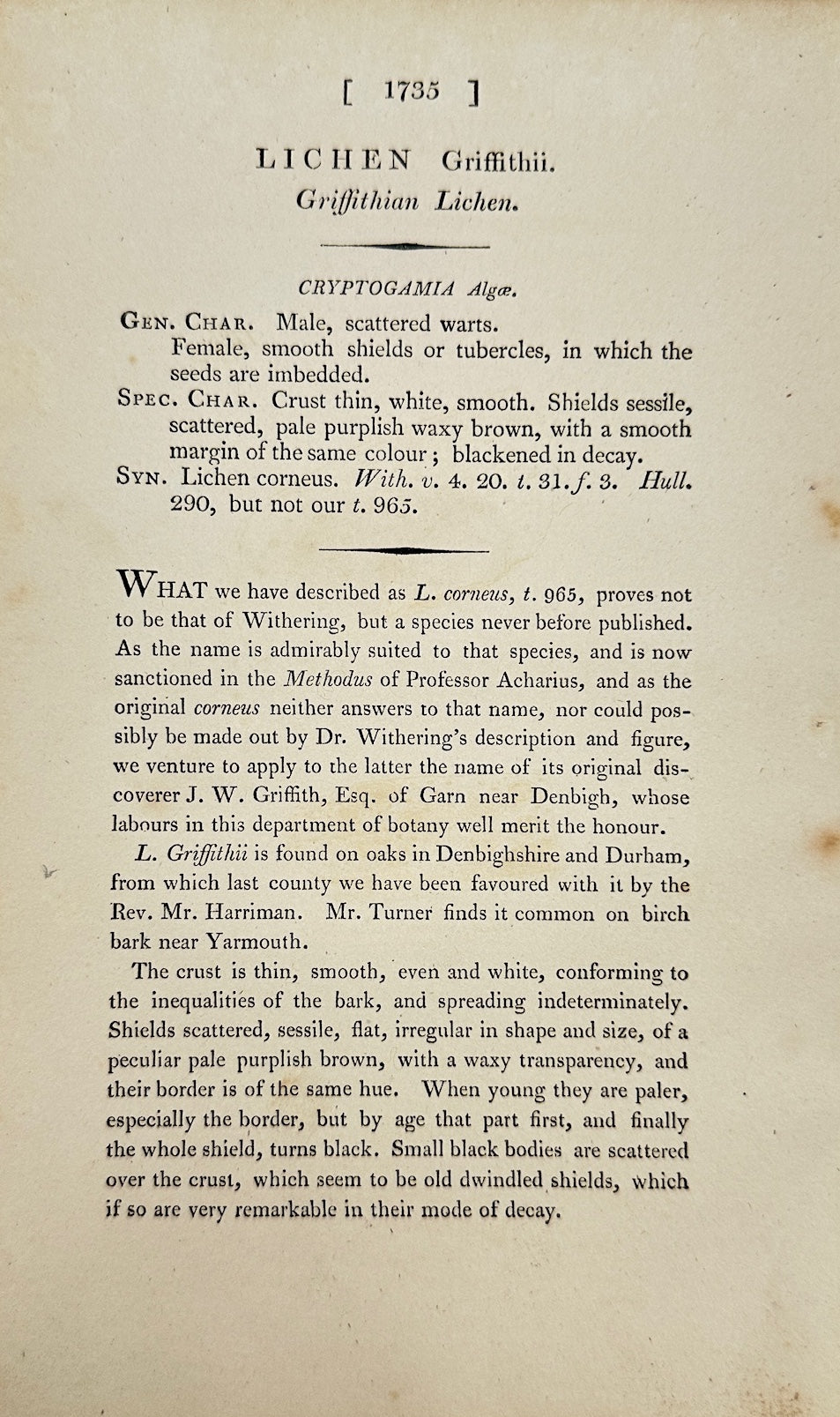 Antique Print - James Sowerby - Lichen Griffithii - Griffith's Lichen - F1