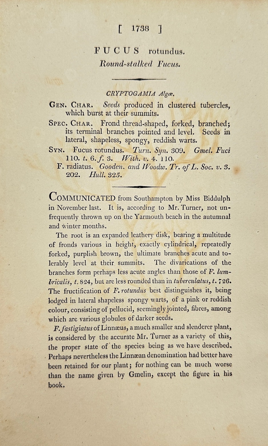 Antique Botanical Print - James Sowerby - Fucus Rotundus - Round Fucus - F1