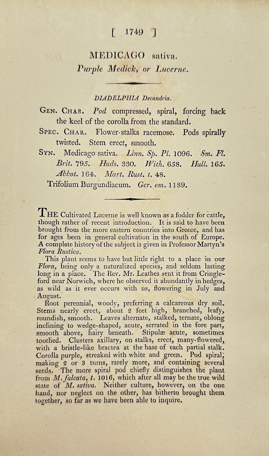 Antique Botanical Print - James Sowerby - Medicago Sativa - Alfalfa - F1