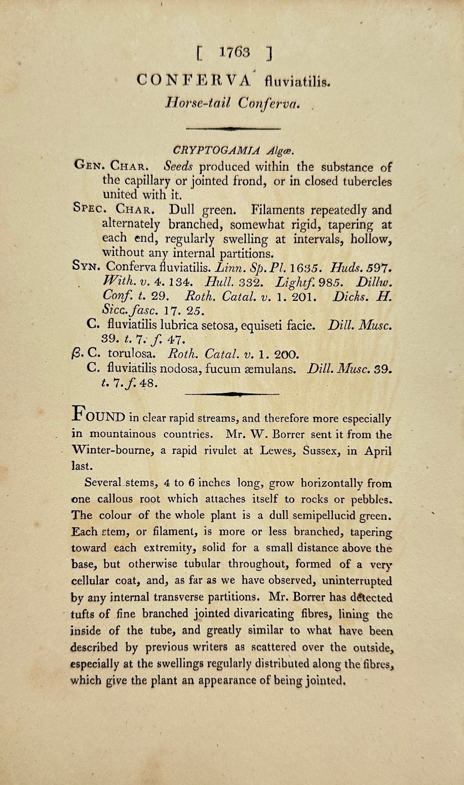 Antique Print - James Sowerby - Conferva Fluviatilis - Freshwater Conferva - F1