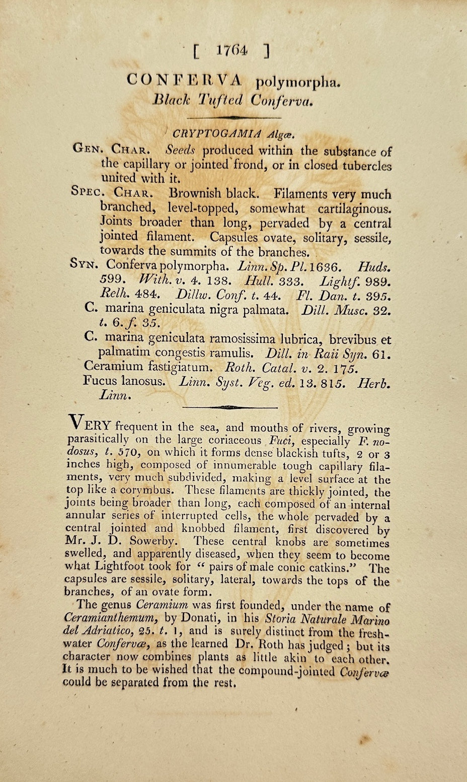 Antique Print - James Sowerby - Conferva Polymorpha - Variable Conferva - F1