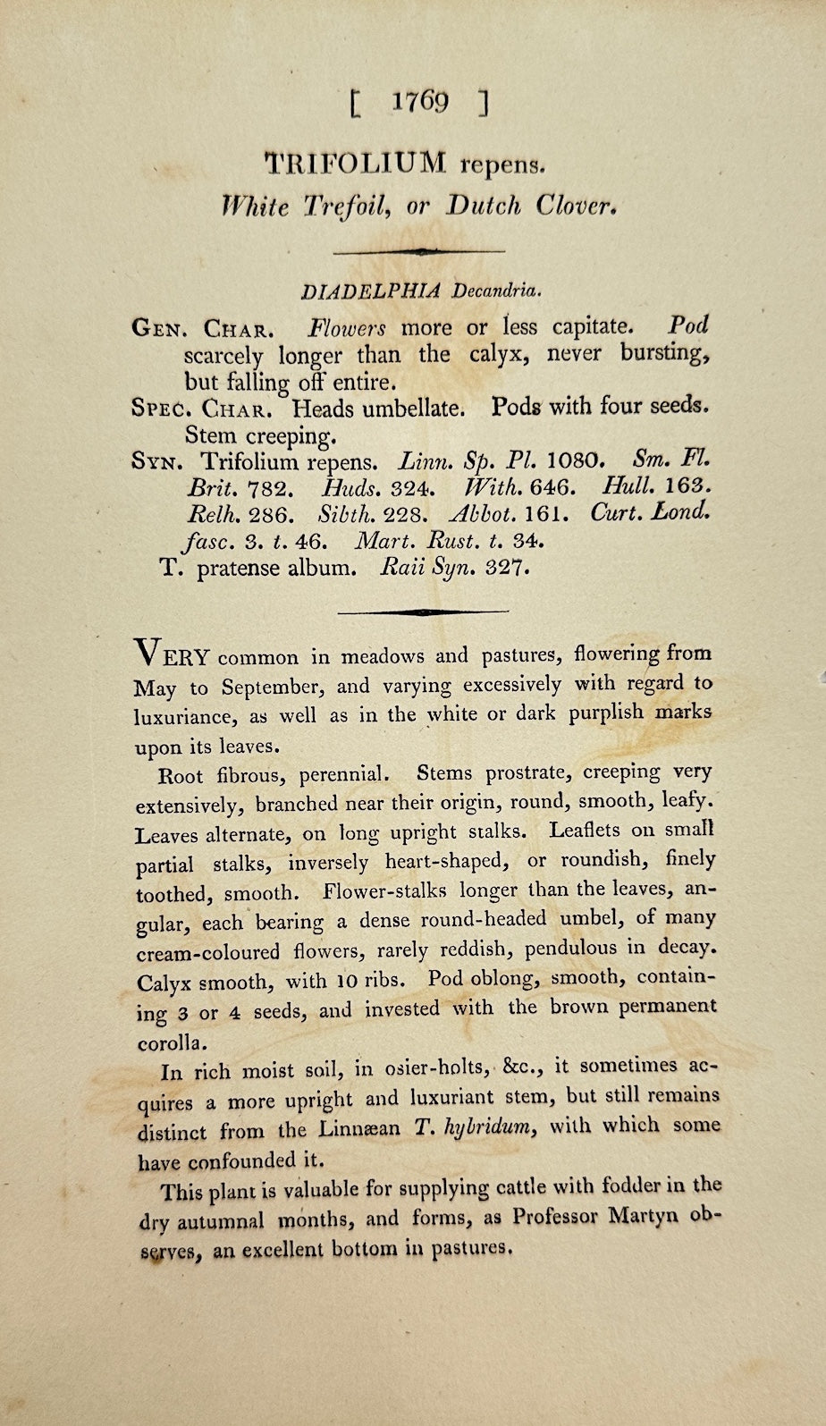 Antique Botanical Print - James Sowerby - Trifolium Repens - White Clover - F1