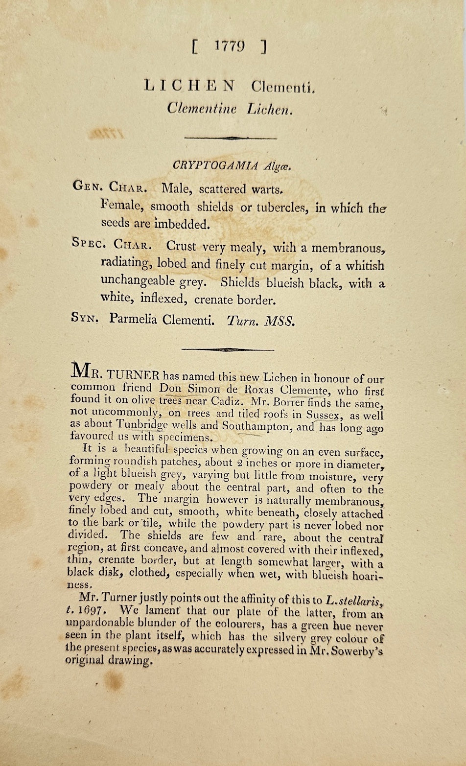 Antique Print - James Sowerby - Lichen Clementi - Clement's Lichen - F1