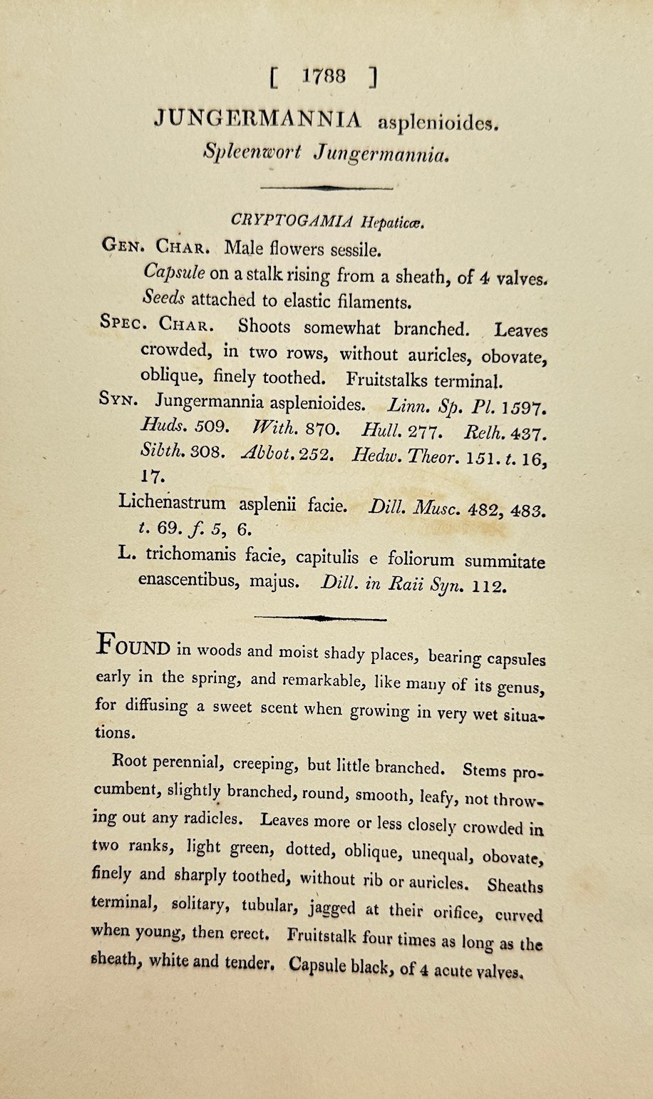 Antique Print - Jungermannia Asplenioides - Asplenium-leaved Jungermannia - F1
