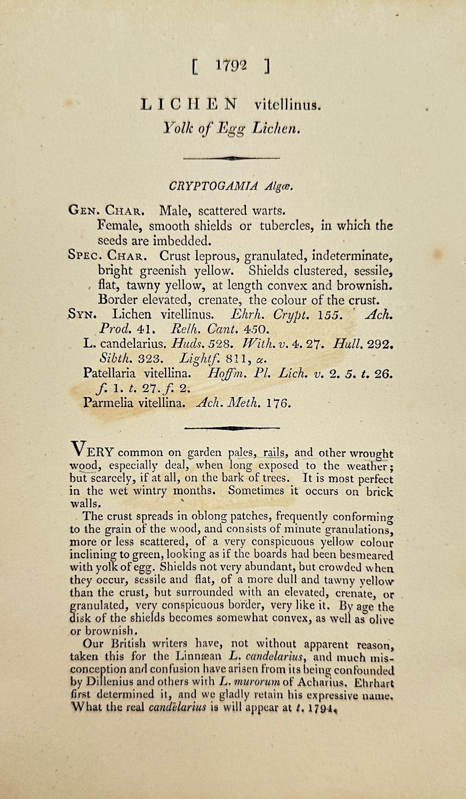 Antique Print - James Sowerby - Lichen Vitellinus - Vitelline Lichen - F1