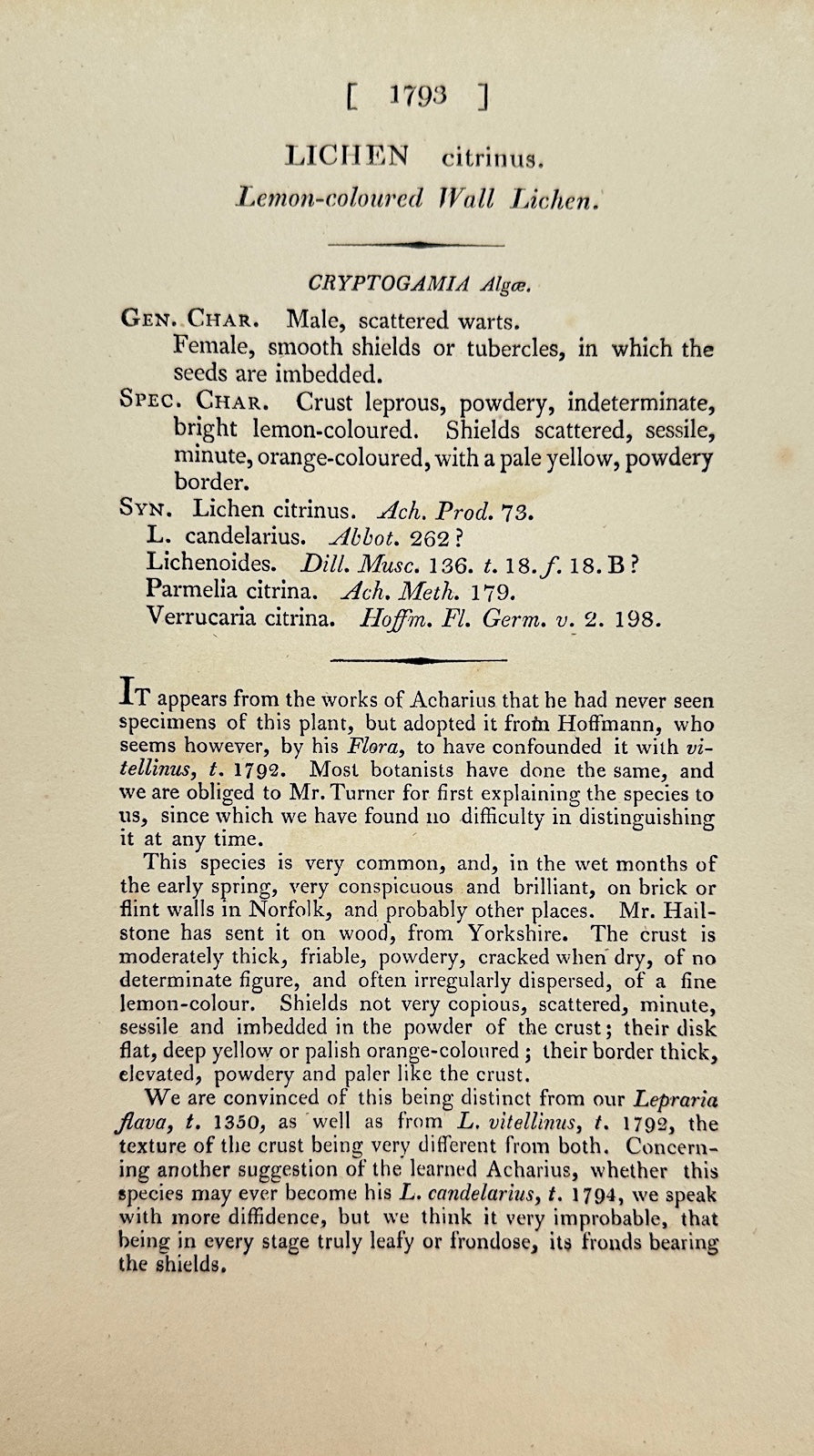 Antique Botanical Print - James Sowerby - Lichen Citrinus - Citrin Lichen - F1