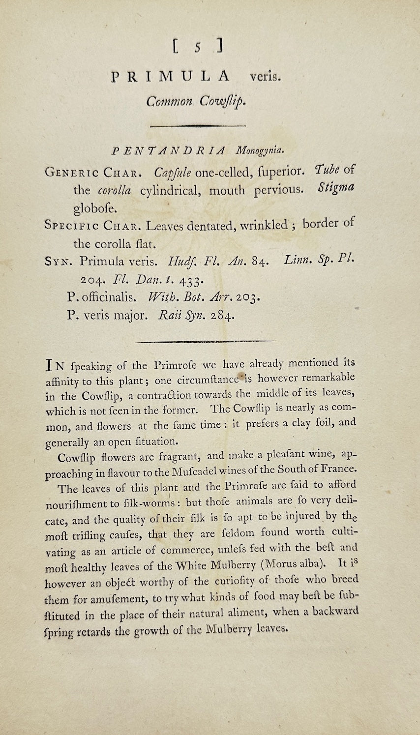 Antique Botanical Print - James Sowerby - Primula Veris - Cowslip - F1