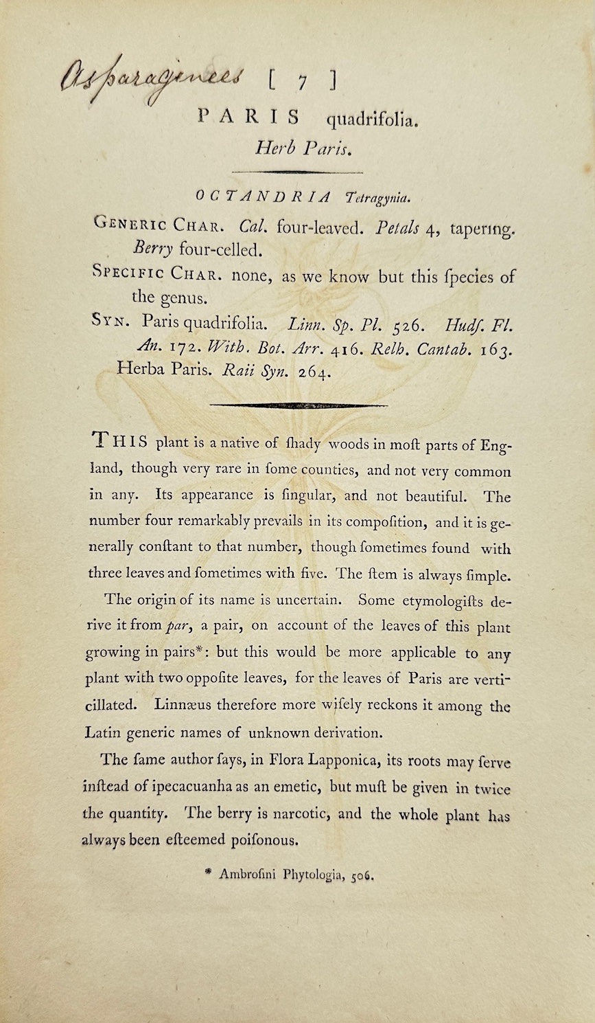 Antique Botanical Print - James Sowerby - Paris Quadrifolia - Herb Paris - F1