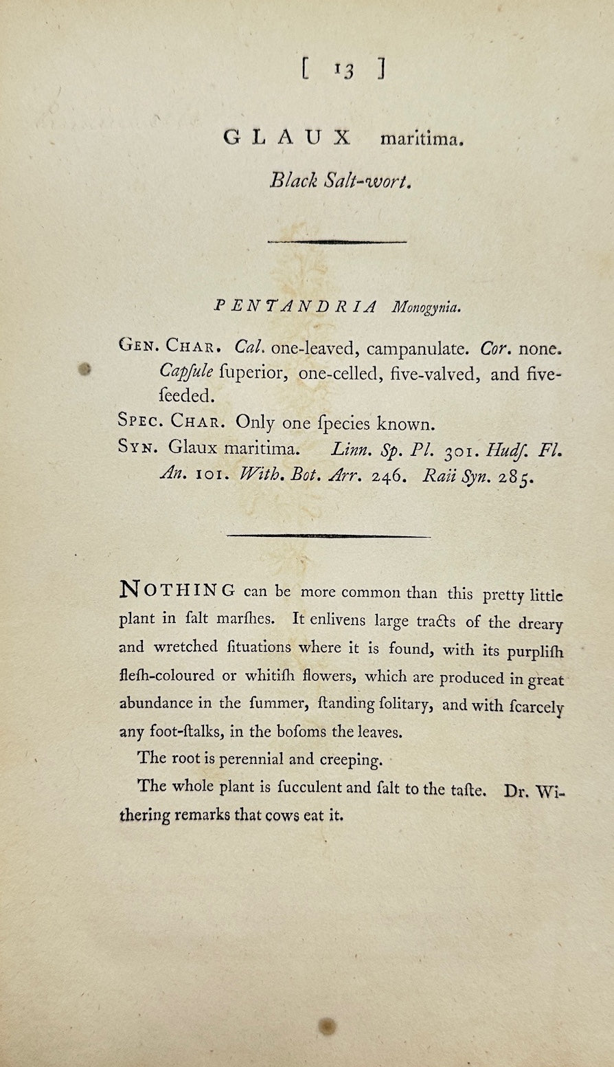 Antique Botanical Print - James Sowerby - Glaux maritima - Sea Milkwort - F1