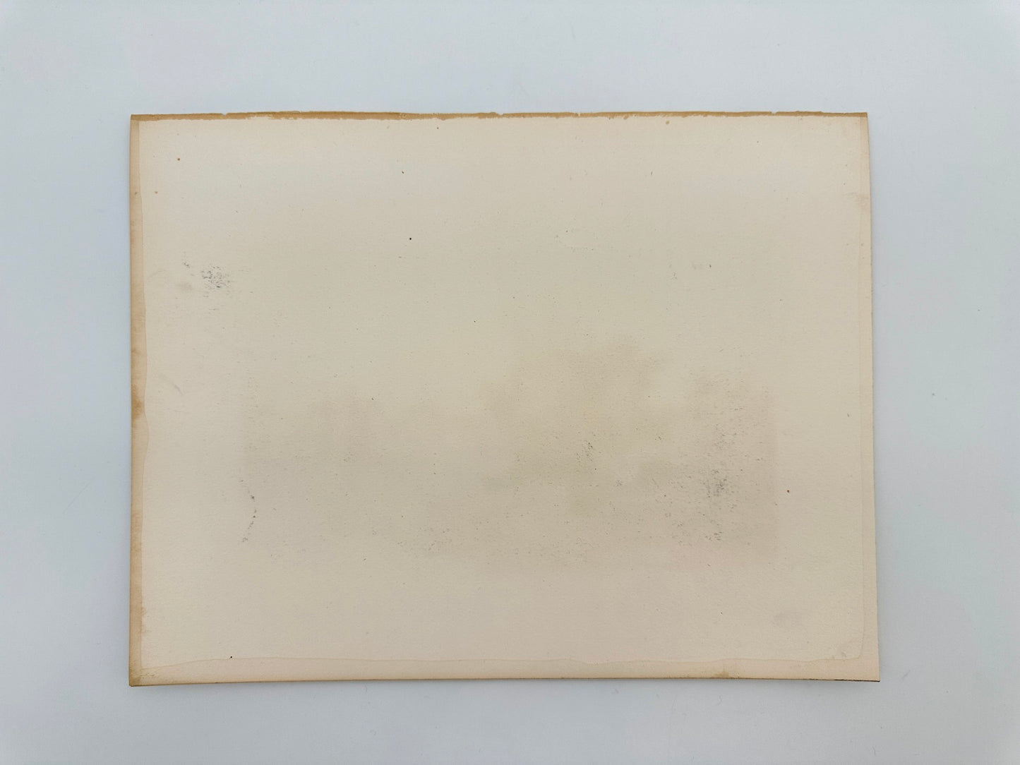 Antique Engraving - Cullen Bryant - Druid Hill Park - City of Baltimore - F5