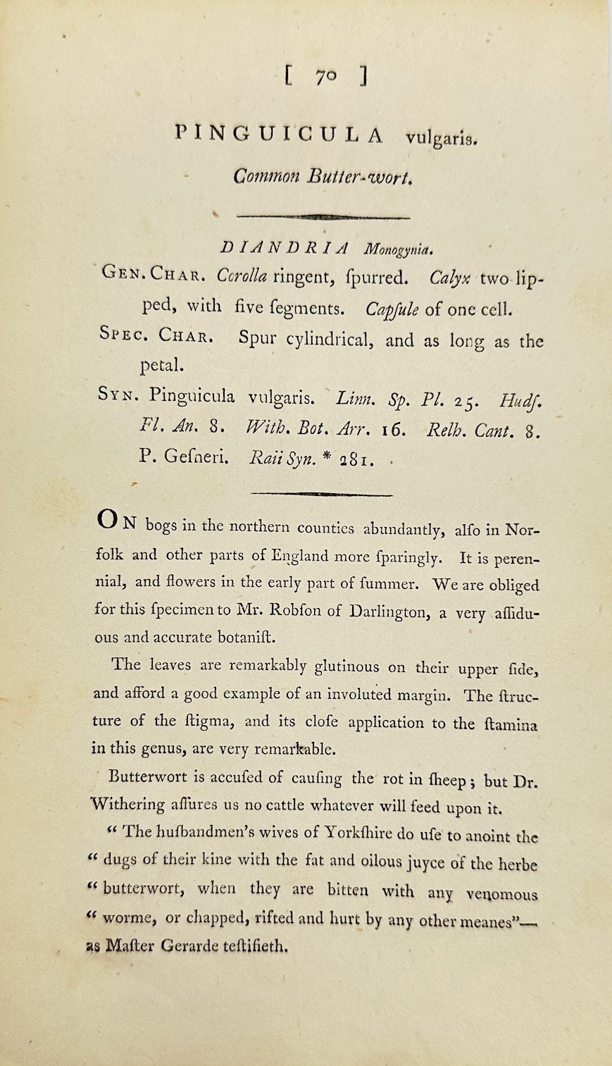 Antique Print - James Sowerby - Pinguicula Vulgaris - Common Butterwort - F1