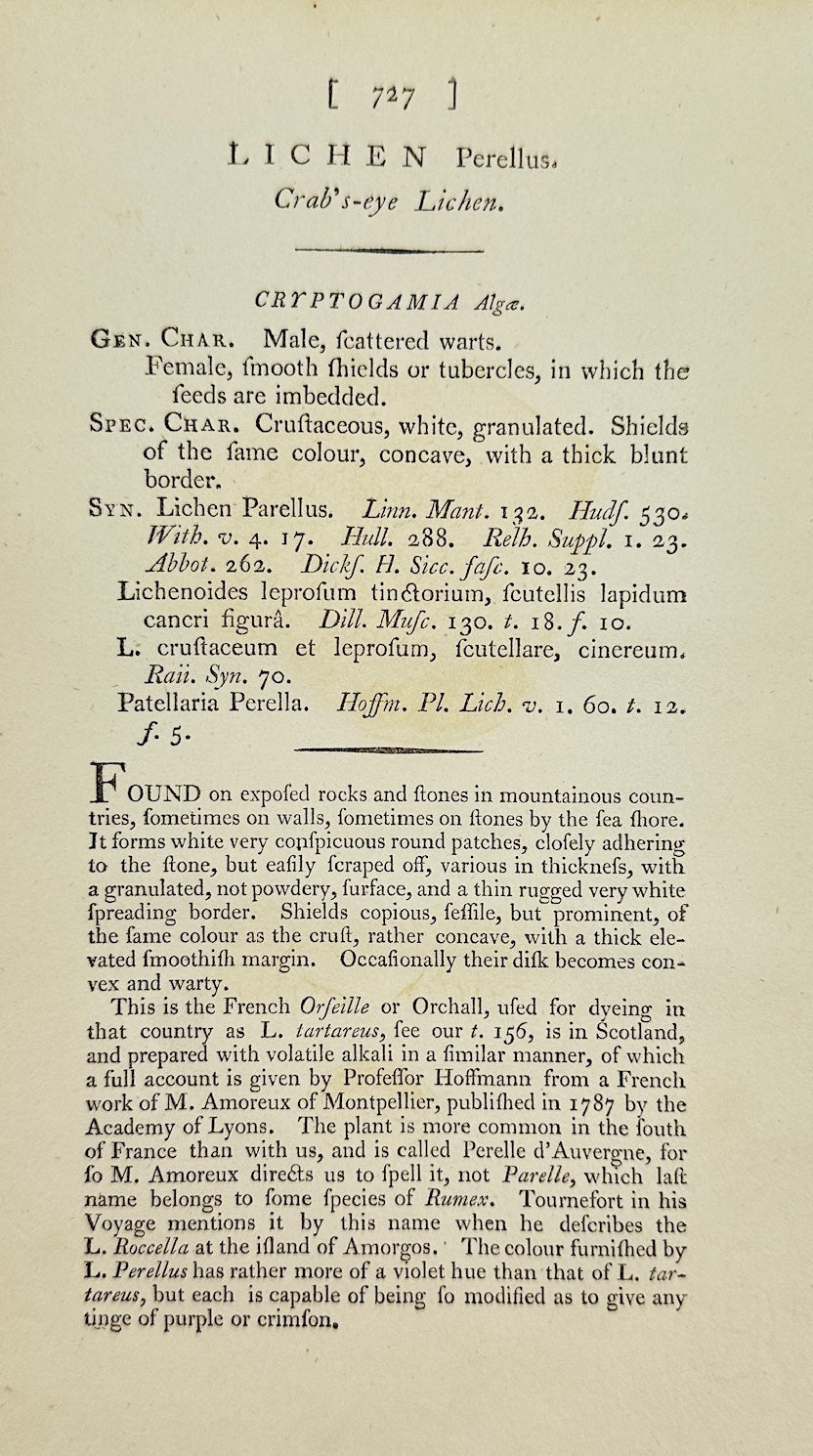 Antique Print - James Sowerby - Lichen Perellus - Perennial Lichen - F1