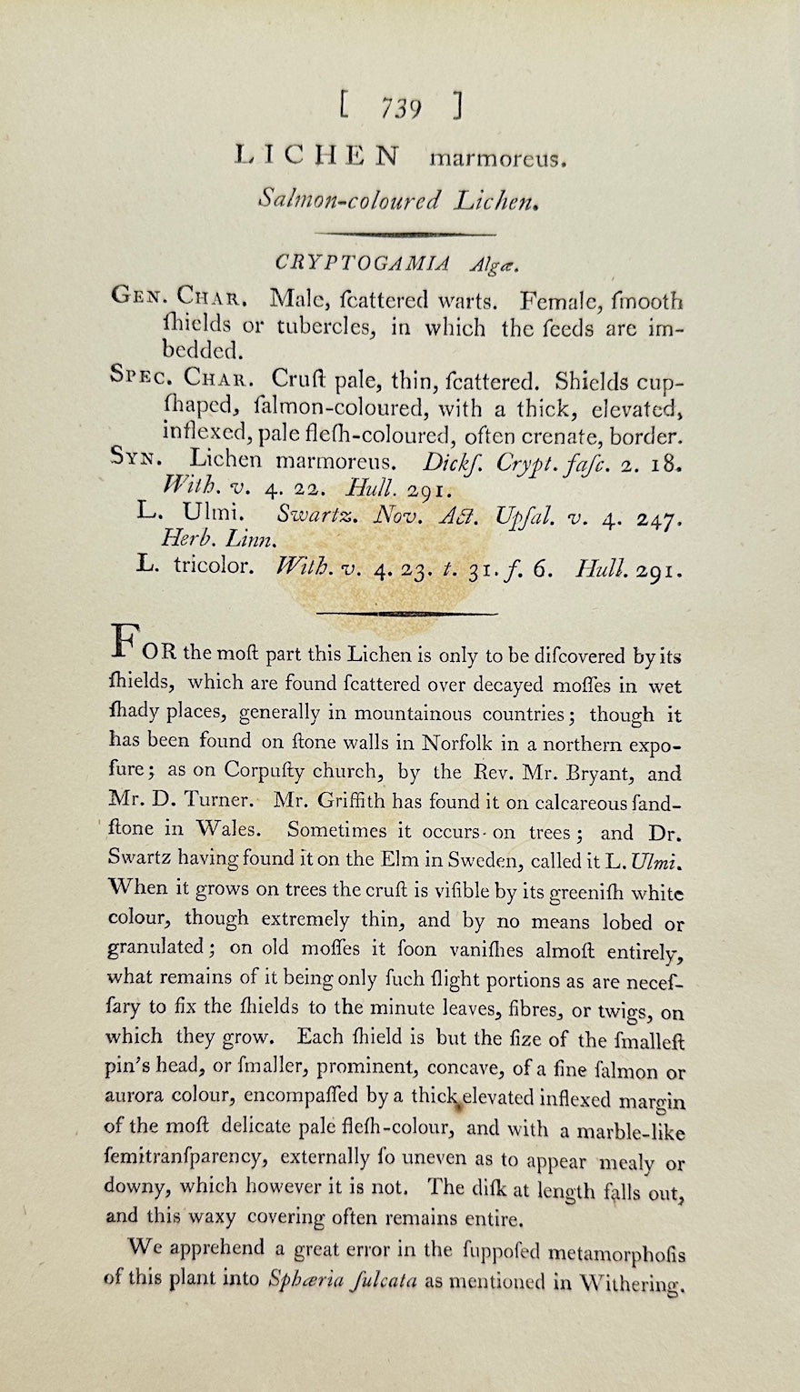 Antique Botanical Print - James Sowerby - Lichen Marmoreus - Marble Lichen - F1