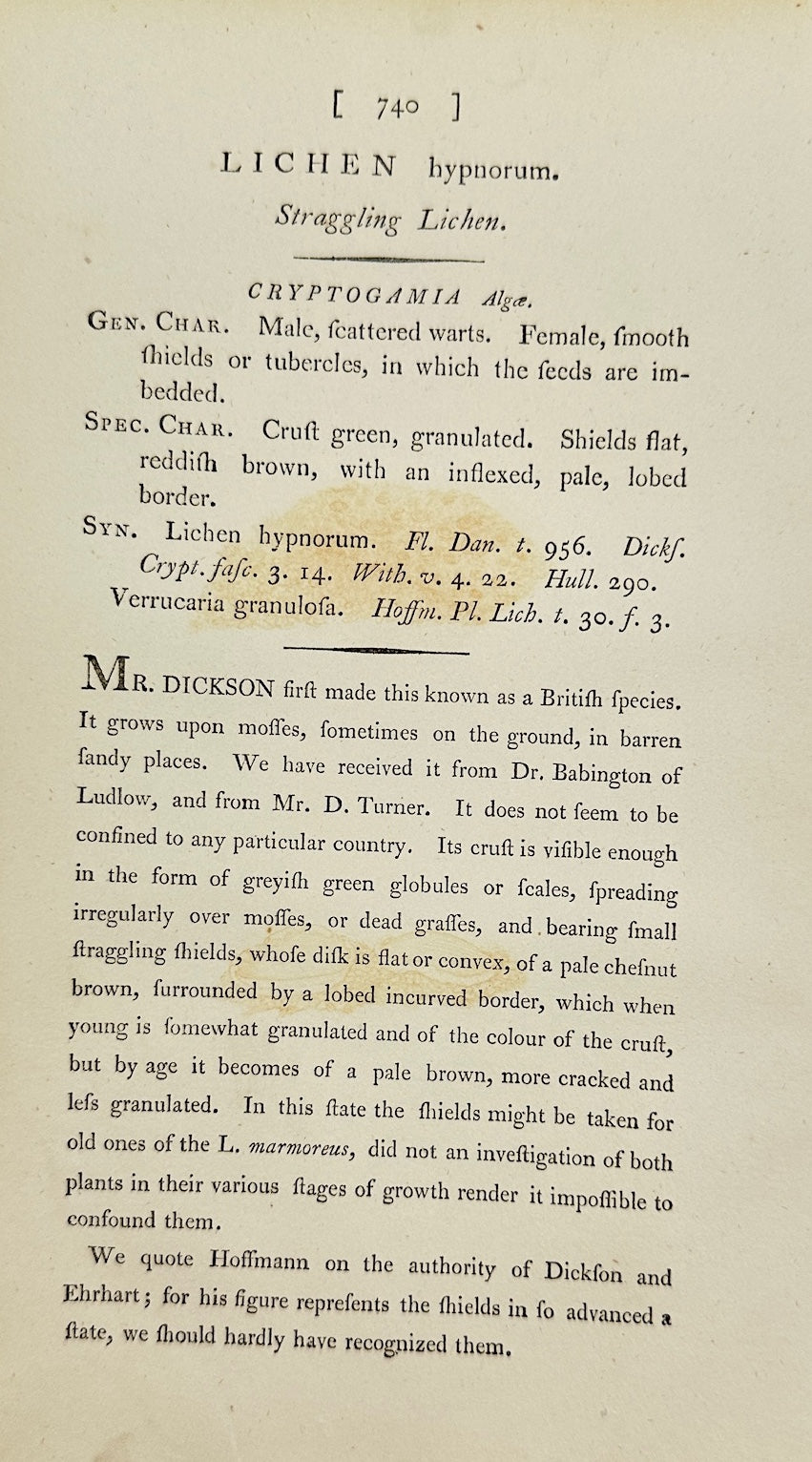 Antique Botanical Print - James Sowerby - Lichen Hypnorum - Moss Lichen - F1